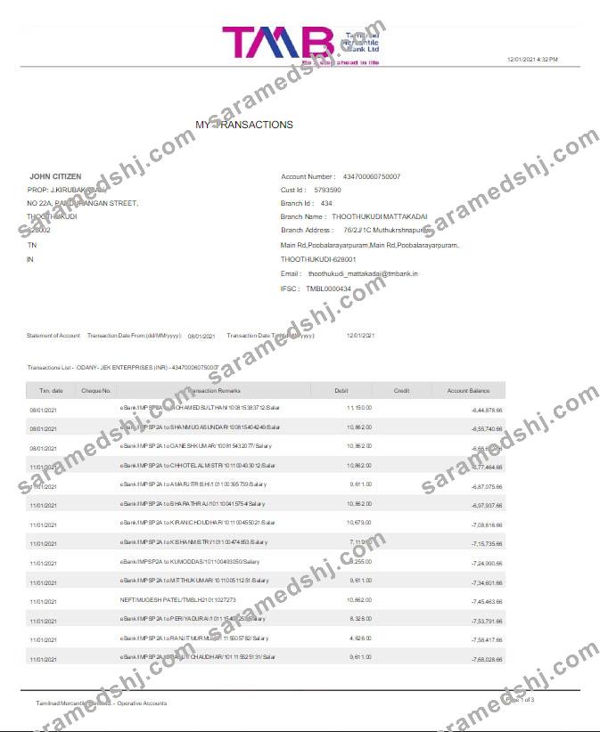 India TAB bank statement Word and PDF template scr